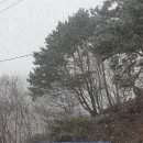 산골농부네 이미지