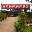 금호농장 이미지