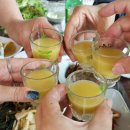 뱀사골산장민박 이미지