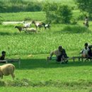 맛있는세상 이미지