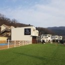 펫티움애견펜션 이미지