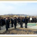 맹당 Daum카페