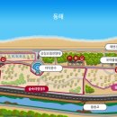 영덕고래불국민야영장 이미지