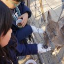 선어린이공원 이미지