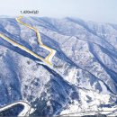 강릉시종합경기장 이미지