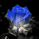 춘천 송암스포츠타운 종합경기장 이미지