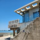 그린빌라 앞 | 영흥도 스테이담소 풀빌라 🌊 로프트 오아시스 그린 객실 리얼후기