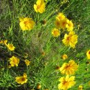 객기리마을회관 이미지