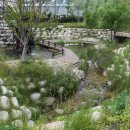 보궁식당 이미지