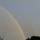 무지개농장 2 이미지