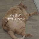 환영식당 이미지