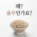 (주)메디율 네이버블로그