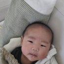 청춘한의원 | [일상기록] 1월 2월 일기 / 아프니까 청춘... 이 아니라 그냥 환자