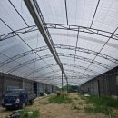 양감농장 이미지