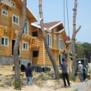 대천리조트 이미지