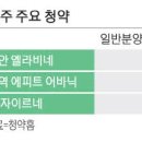 차익