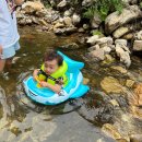 무릉도원식당 이미지