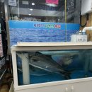 CU 울산방어현대점 | 울산방어맛집 달동방어맛집 ‘사량도자연산횟집’ 2호점 솔직후기