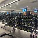 정직한 피트니스 | 내돈내산 마곡역 헬스장 정직한피트니스 마곡역점 후기 🏋️‍♀️