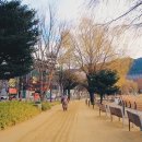 법원입구~법원교차로 이미지