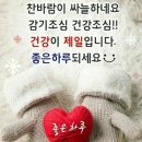 힐링채움이