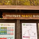 지금 가야산