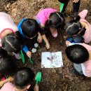 에덴키즈어린이집 이미지