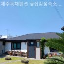 제주독채펜션돌집감성숙소돌담점 네이버블로그