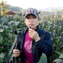 연희농장 이미지