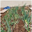 모장힐링 하우스 이미지