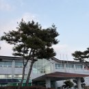 하이브리드로1 | 영천 충성대 체력단련장 라운딩 후기｜9홀 두 바퀴지만 전혀 지루하지 않았다