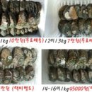 노화수산 이미지