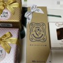 덕성메디 | 30대 직장인 문과 내신으로 약대 수시교과 지원가능??(2025 모집요강, 실제 합격후기)