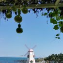 간절곶 풍차 이미지