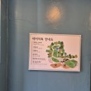 순독 | 양주 네이처독 내돈내산 방문 솔직후기