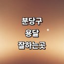 성남 분당구 근처 화물용달 잘하는곳 추천 용달이사...렌트 소형 퀵서비스 운송 금액 다마스 견적 후기