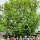 장수여관 이미지