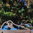 장군한의원 이미지