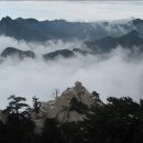 화산약국 이미지