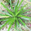 곡정초등학교 이미지