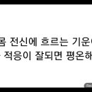 내 기운이 현실 환경과 적응이 잘되면 평안해진다 이미지