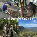 (주)엔브이알월드 | 7살 아이와 시드니 여행 DAY 4 고호주 페더데일 오픈런 시닉월드 블루마운틴 투어