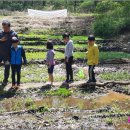 생태교육 이미지