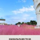 태안 도담빌리지 단체 키즈 갯벌 가족 수영장 이미지