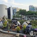마을가드너 양성(심화) | [전남투데이] 광주광역시 서구, 주민이 정원 가꾸는 ‘마을가드너’ 양성