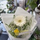 플라워디자인 | 광주꽃배달 감성 꽃집 💕친절하고 디자인 예쁜 이플플라워 후기