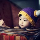 라이트스튜디오 Daum카페
