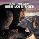 킹콩컴퓨터