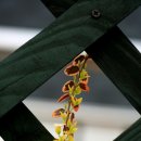 예크유치원 이미지