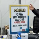 국민체육센터 앞 횡단보도 이미지